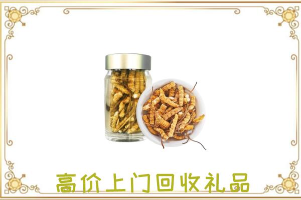 乌达区周边回收虫草